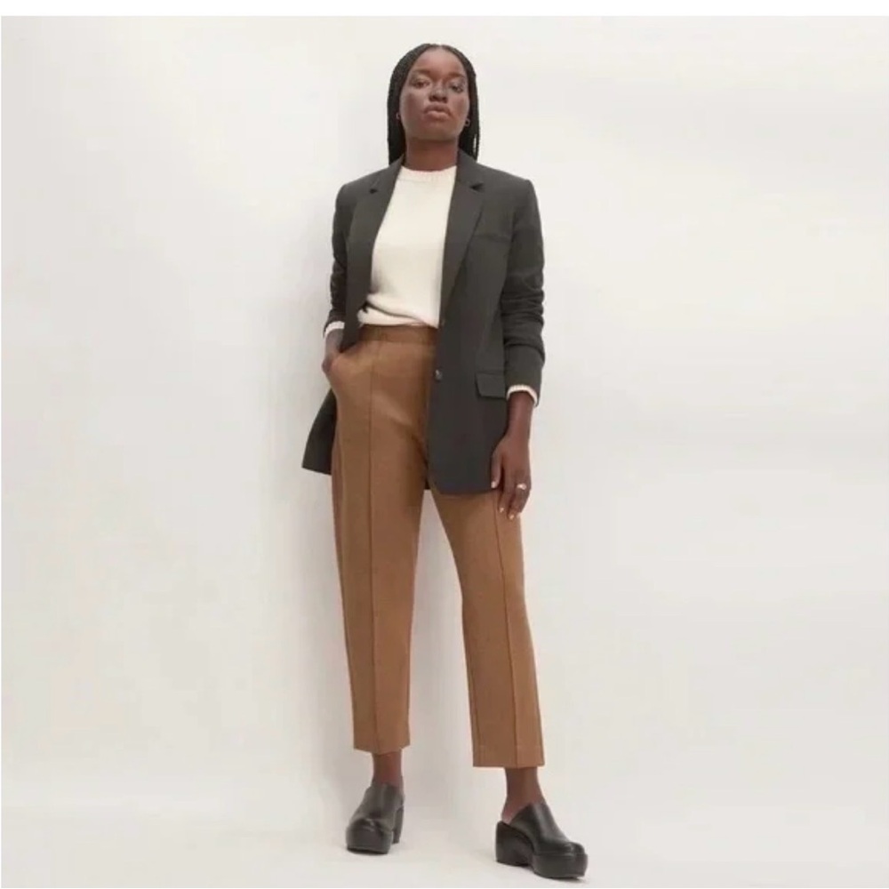 Everlane The Dream Pant | Brown
